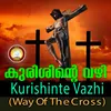 About Kurishinte Vazhi Song